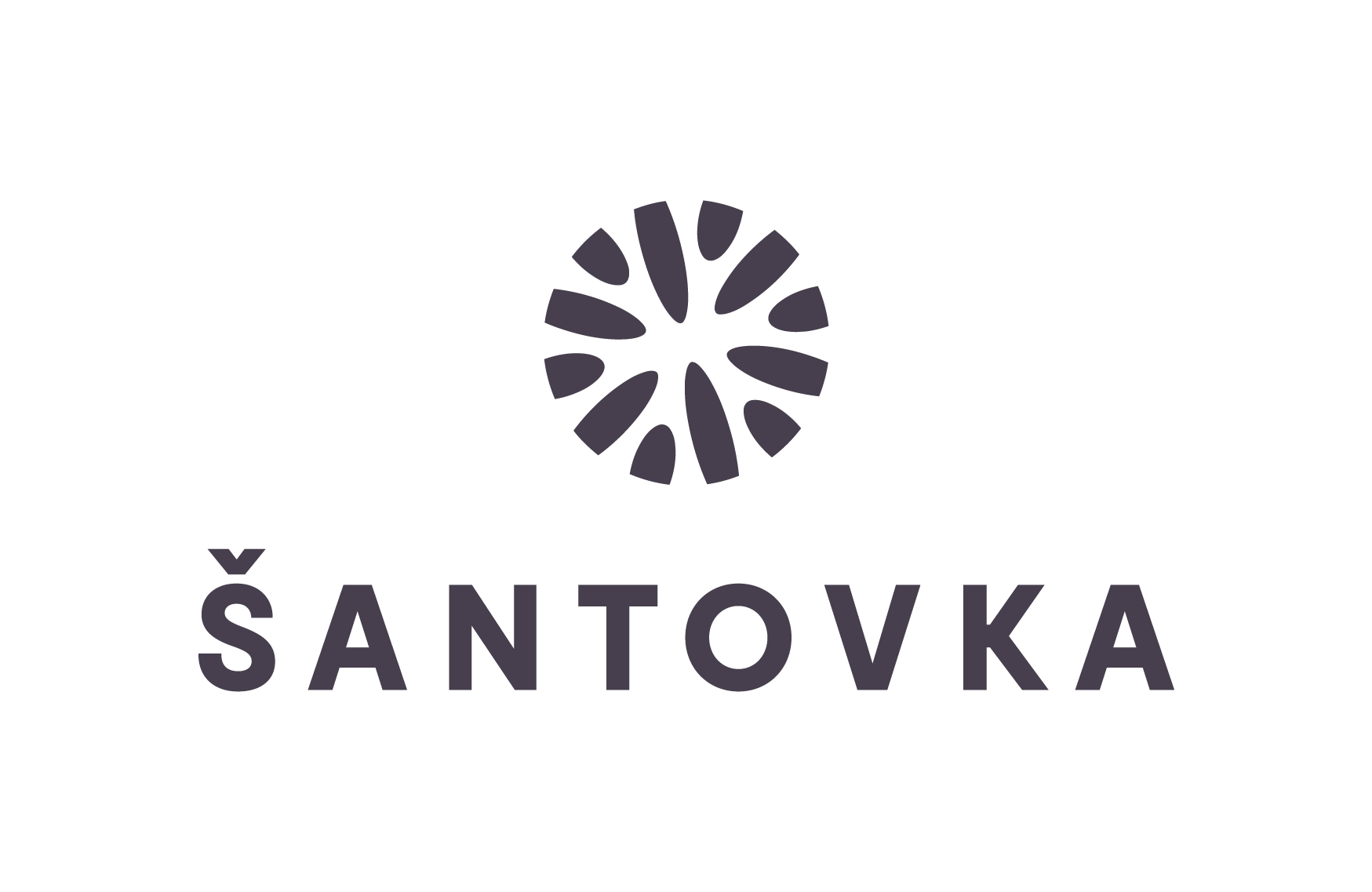 Sponzor